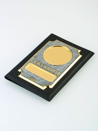 MV-006 Металлические вставки VIP (серый)